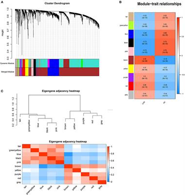 The Integrative Analysis of Competitive Endogenous RNA Regulatory Networks in Coronary Artery Disease